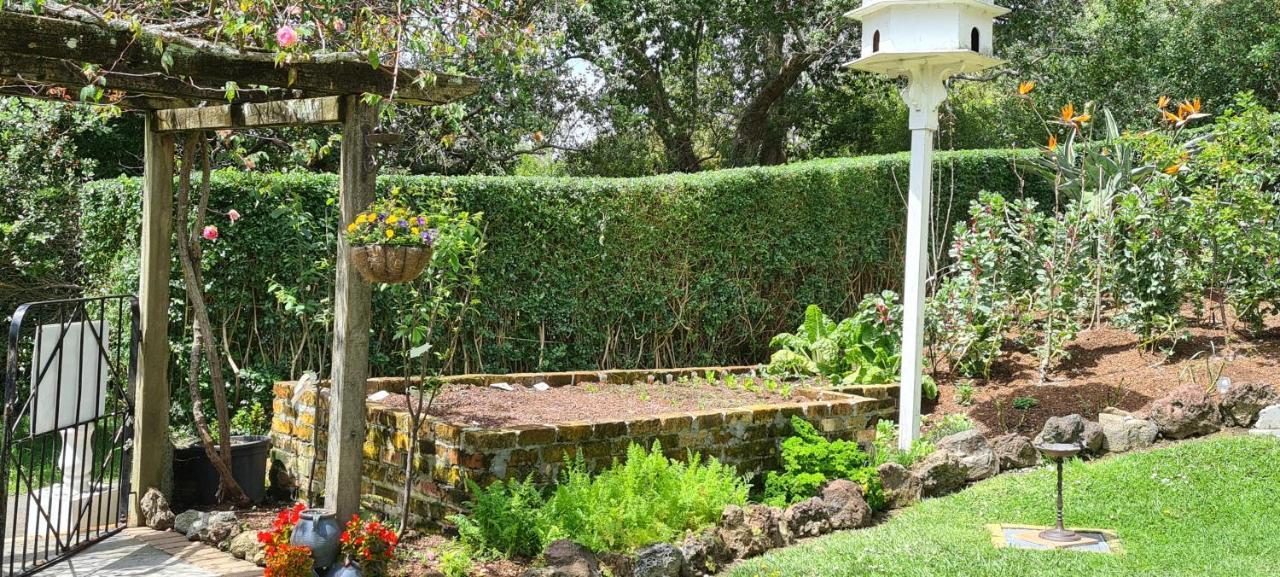 Dovecote House Panzió Auckland Kültér fotó